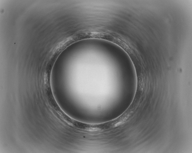 X0000082140748200701191143