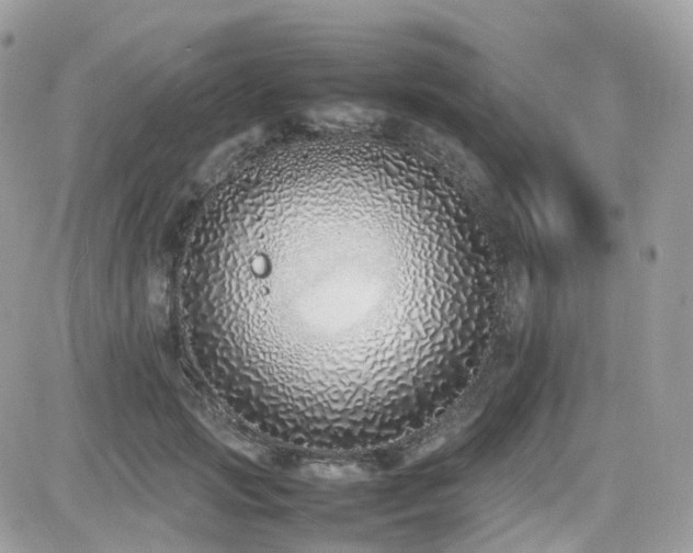 X0000082140749200701191143