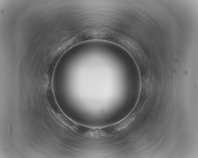 X0000082140752200701191144