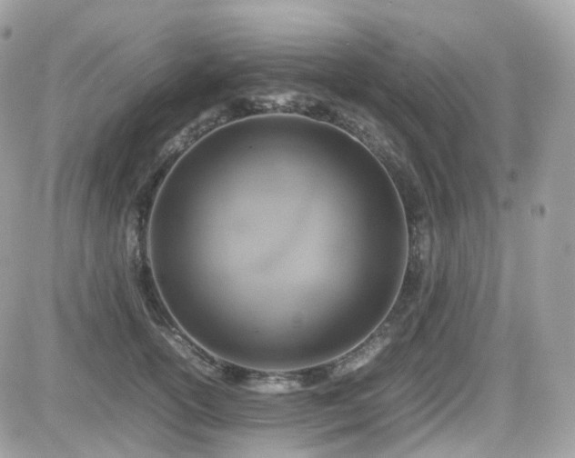 X0000082140754200701191144