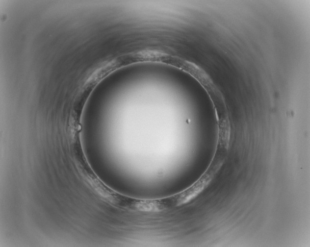 X0000082140762200701191144