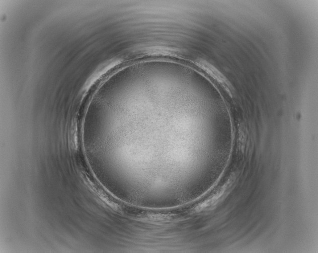 X0000082140782200701191143