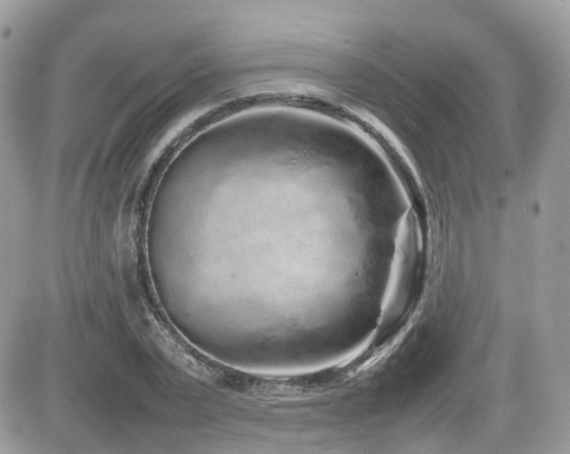 X0000082140783200701191143