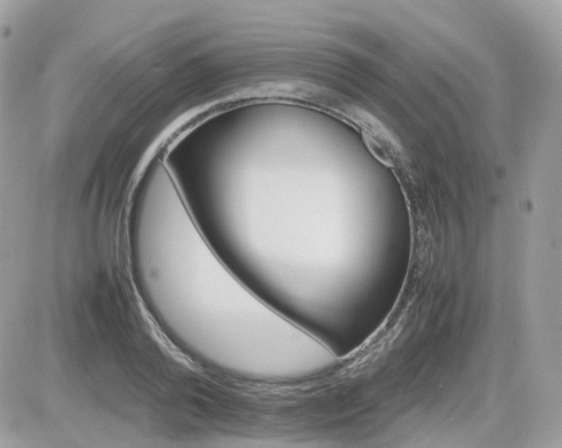 X0000082140792200701191143