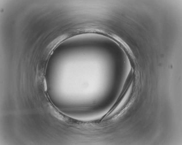 X0000082140801200701191143