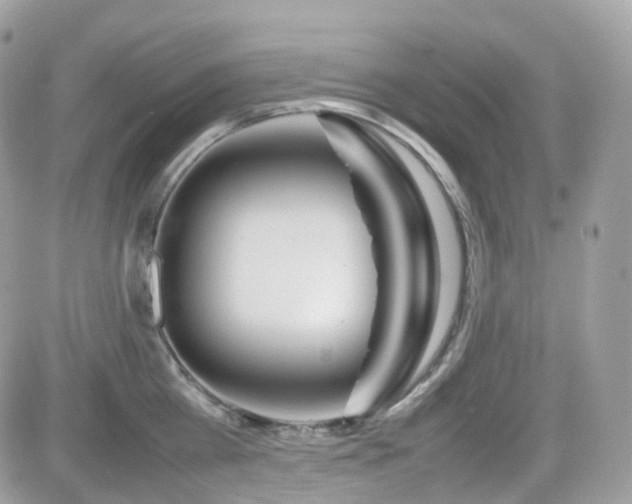 X0000082140809200701191142