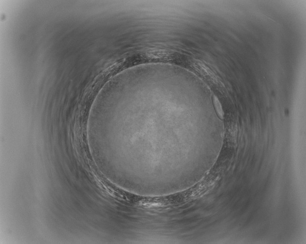 X0000082140817200701191141