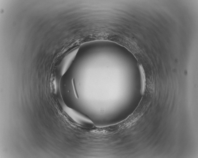 X0000082140818200701191141