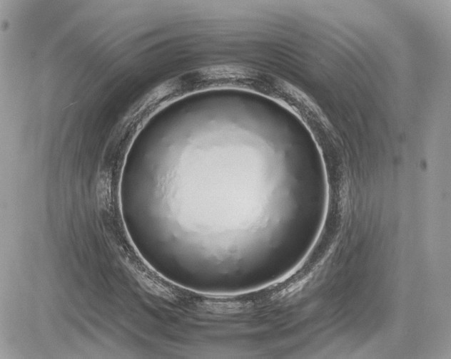 X0000082140825200701191142