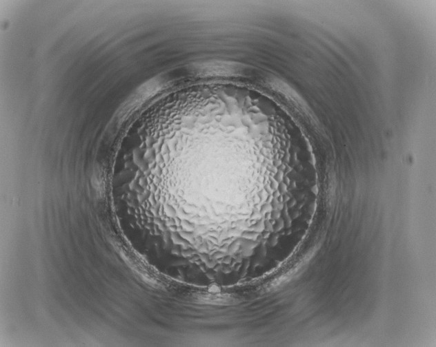 X0000082140833200701191142