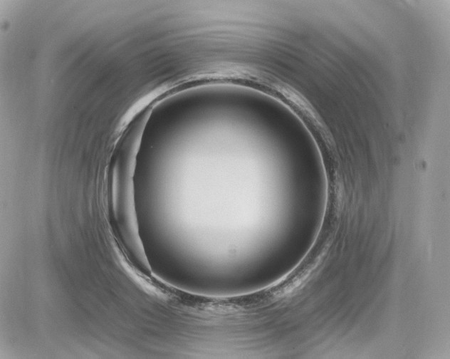 X0000082140842200701191142