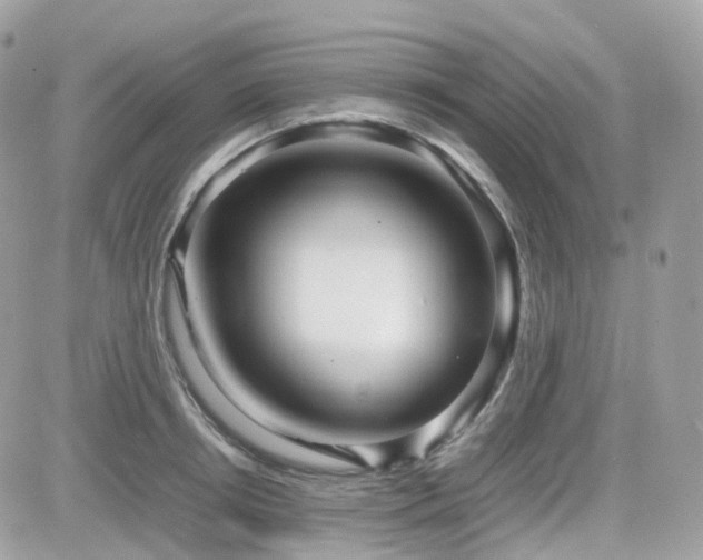 X0000082140850200701191142