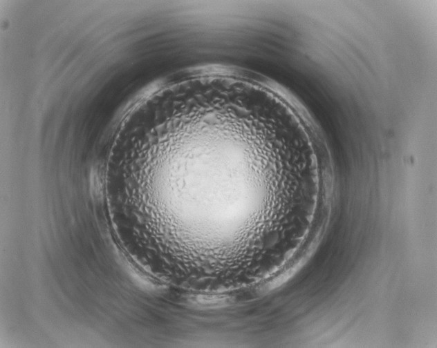 X0000082140857200701191142