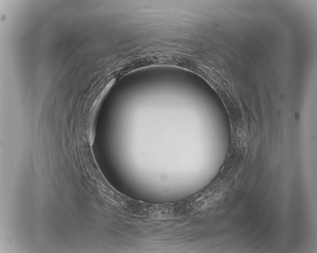 X0000082140865200701191141
