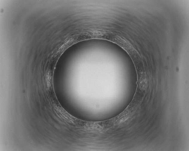 X0000082140866200701191141