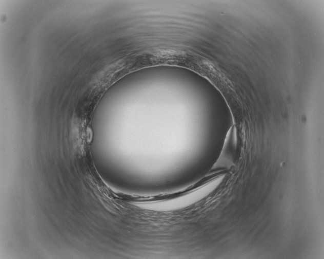 X0000082140868200701191141