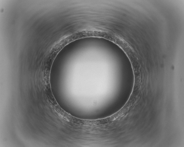 X0000082140870200701191141