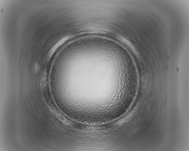 X0000082140875200701191141
