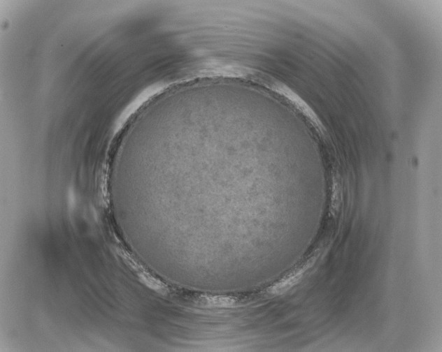 X0000082140878200701191141