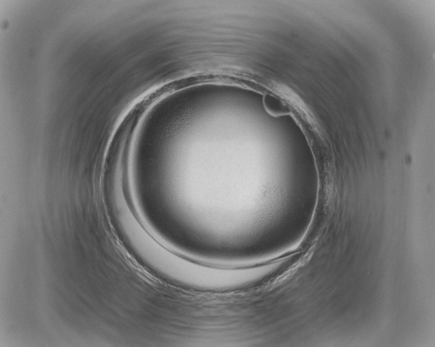 X0000082140924200701191140