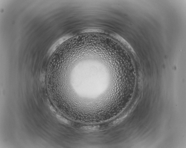 X0000082140937200701191140