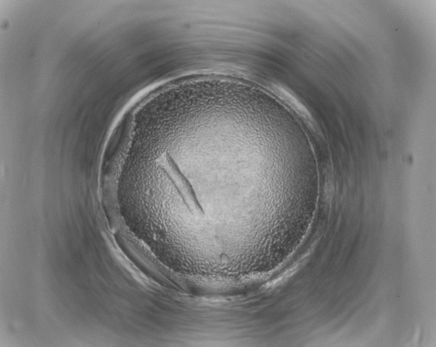 X0000082140940200701191140