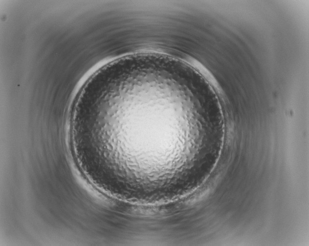 X0000082140955200701191141