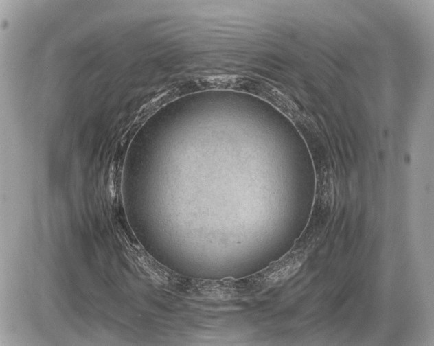X0000082140962200701191140