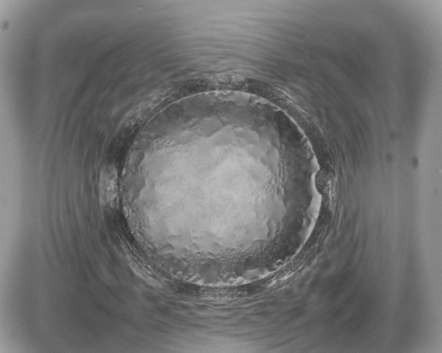 X0000082140963200701191140