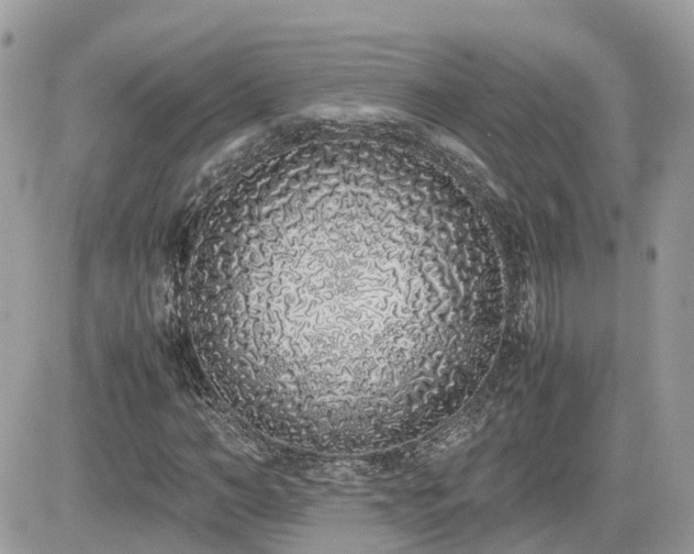 X0000082140966200701191140