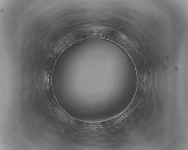 X0000082141013200701191138