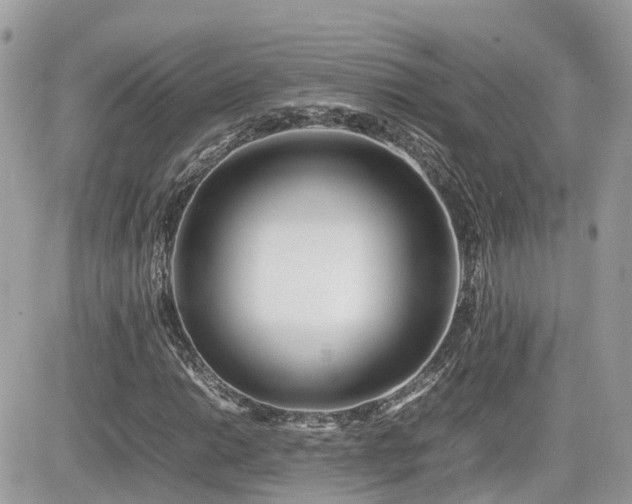 X0000082141014200701191138