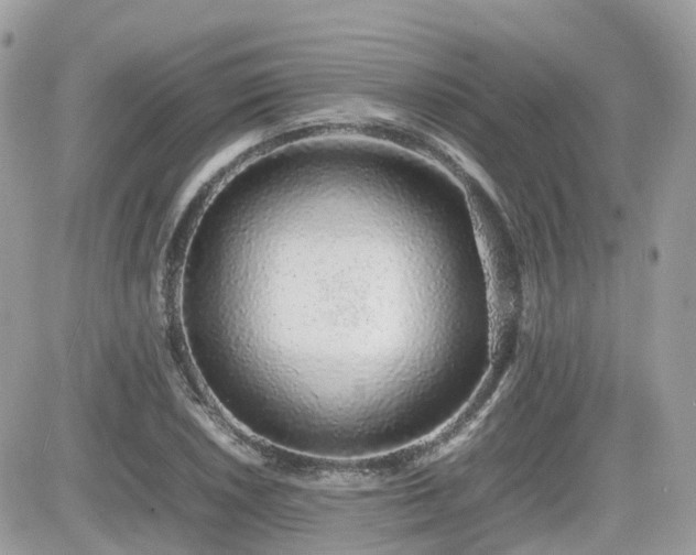 X0000082141026200701191139