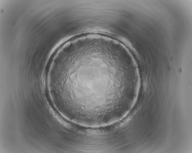 X0000082141032200701191139