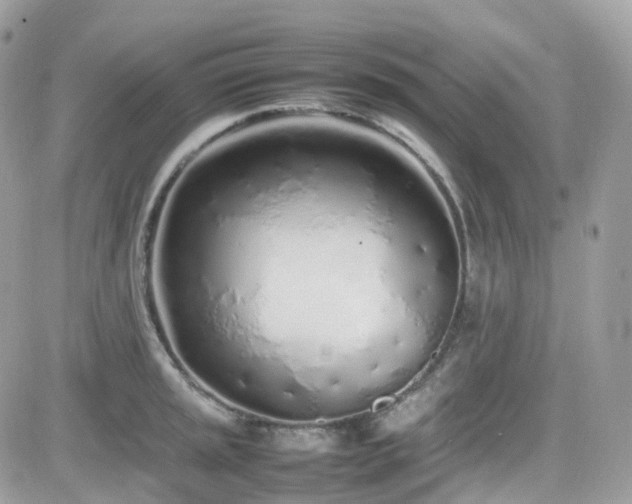 X0000082141045200701191139