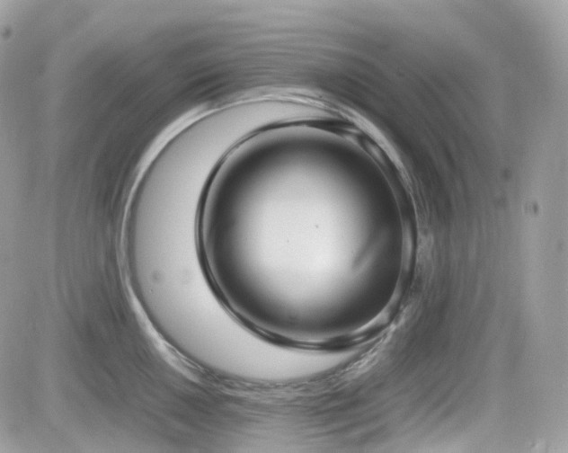 X0000082141050200701191139