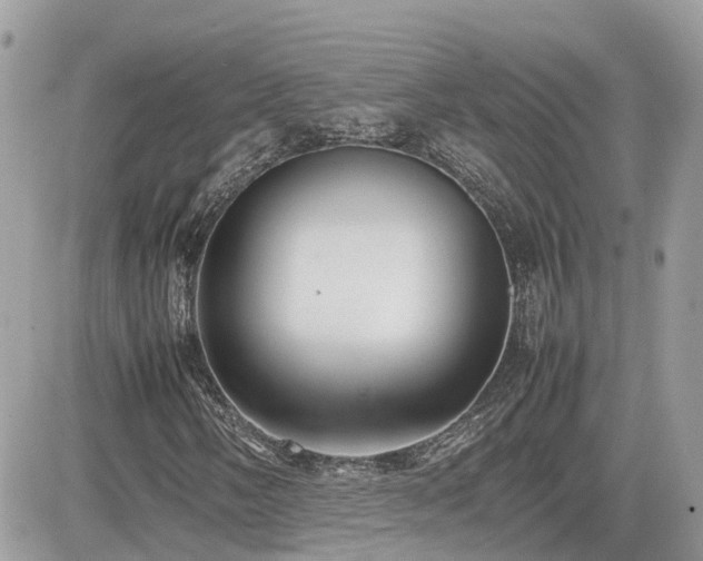 X0000082141058200701191138