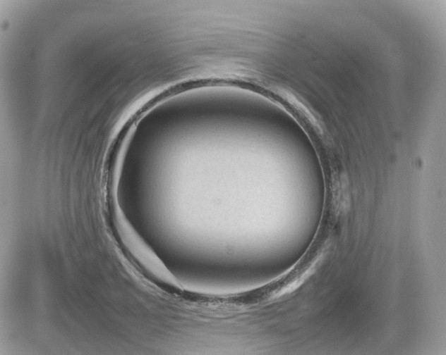 X0000082141077200701191138