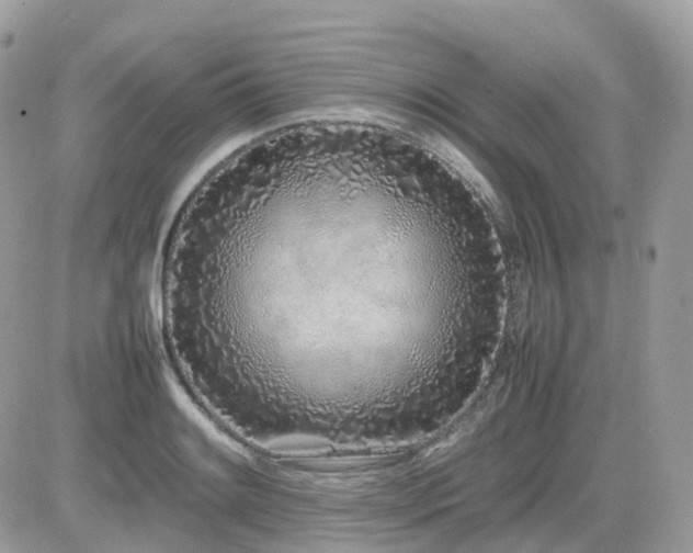 X0000082141084200701191138