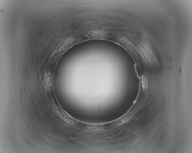 X0000082141107200701191137