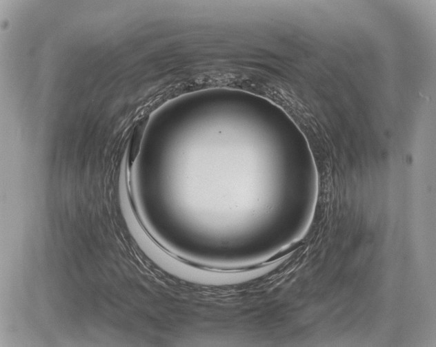 X0000082141109200701191137
