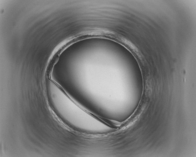 X0000082141122200701191137