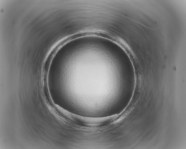 X0000082141124200701191137