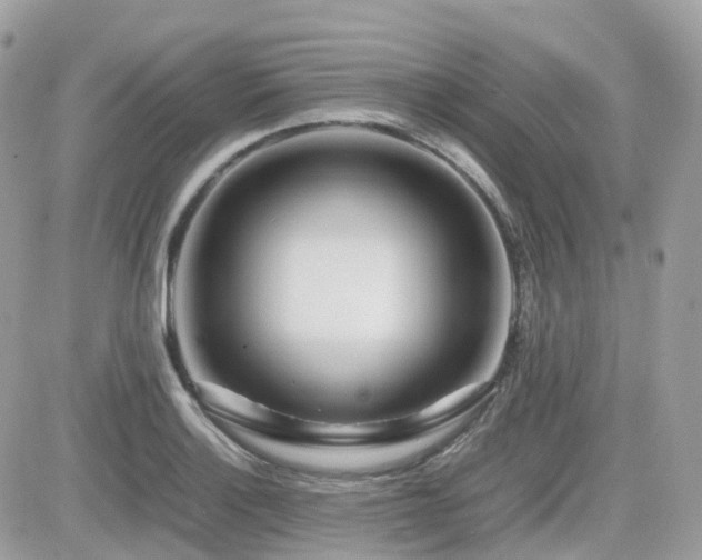 X0000082141132200701191137