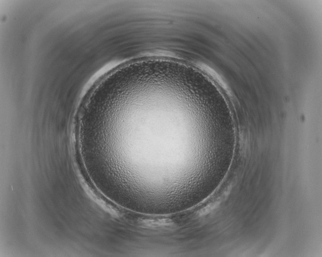 X0000082141133200701191137
