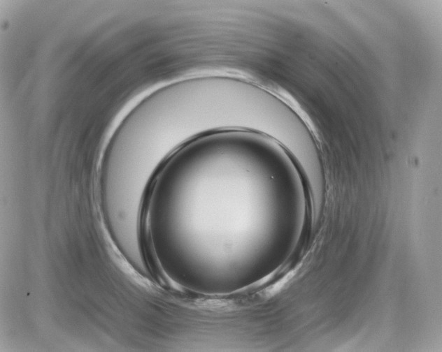 X0000082141140200701191137