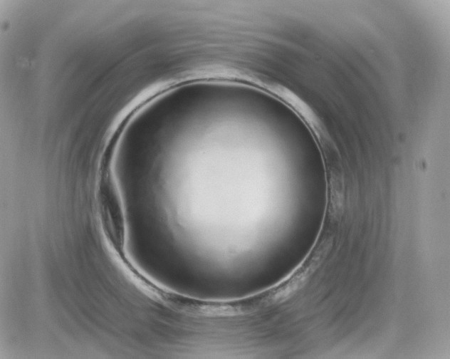 X0000082141142200701191137