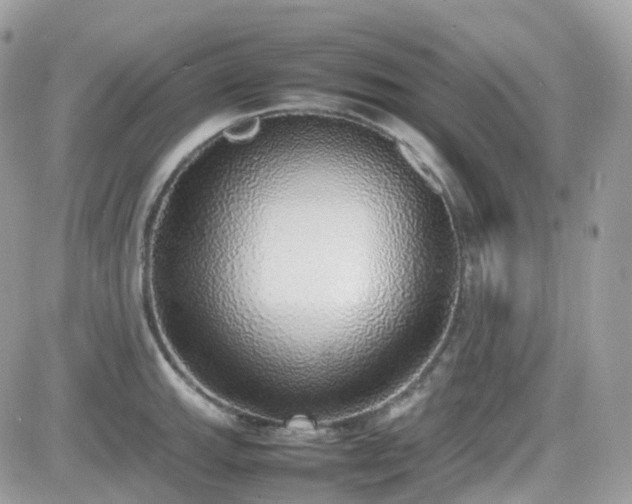 X0000082141143200701191137