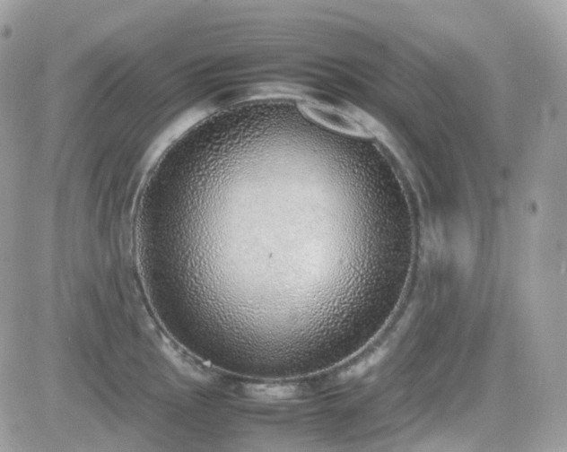 X0000082141145200701191137