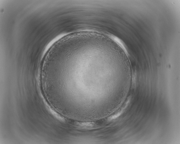 X0000082141149200701191138